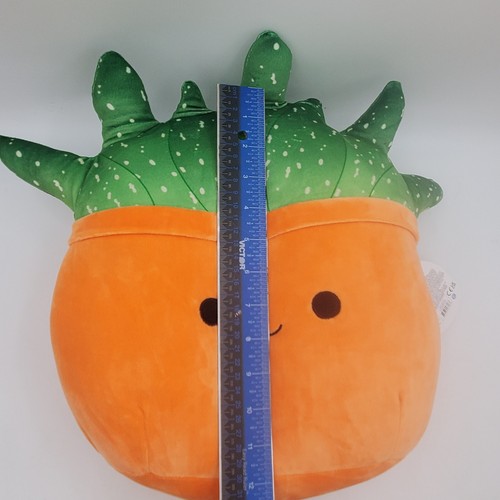 Squishmallows 12" Oz Succulent Plant Squad Orange Plush Pillow Toy Tag - Picture 12 of 12