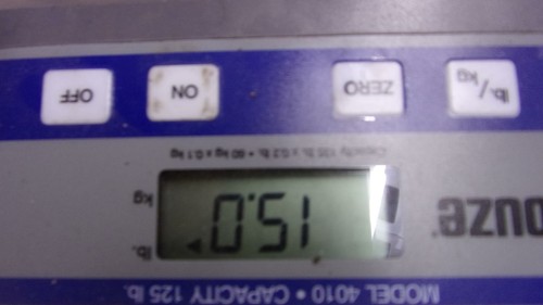 LEESON DC PERMANENT MAGNET M1130400, 120V 2240 RPM 72 to 1 BJ-GEAR 444520 - Picture 9 of 10