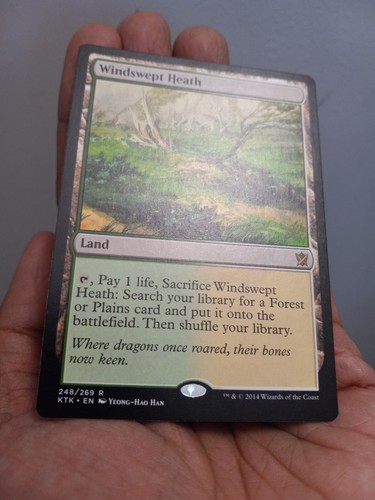 x1 Windswept Heath Khans of Tarkir 248/269 NM - NON FOIL - MTG  - Picture 1 of 2