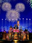 thedisneyhouse