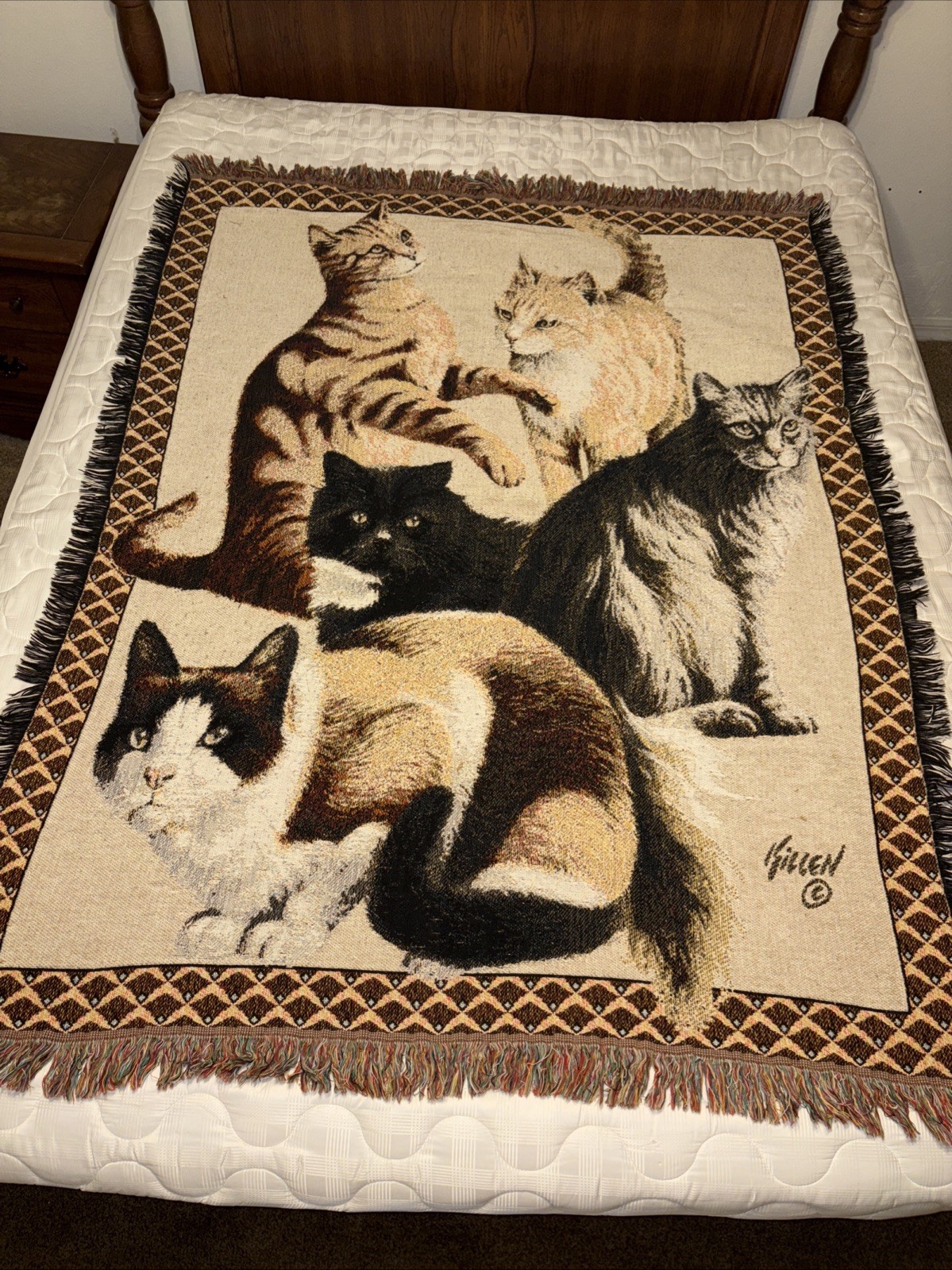 Woven Fringe Cottagecore Cabin Kitten Made Usa