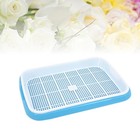 Trays Water Planting Bean Sprouting Cultivation Germination