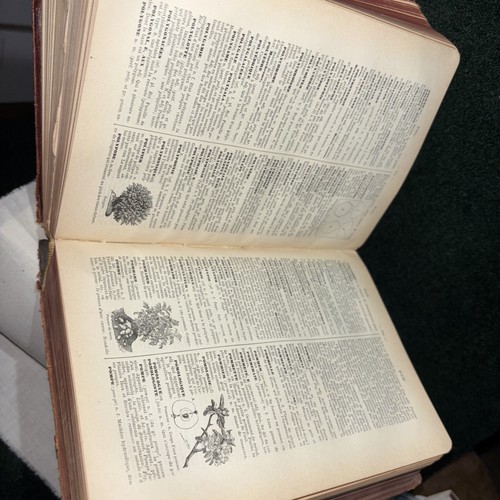 Antique 1909 Book Petit Larousse Illustrated Dictionary Printed in Paris - Imagen 5 de 5