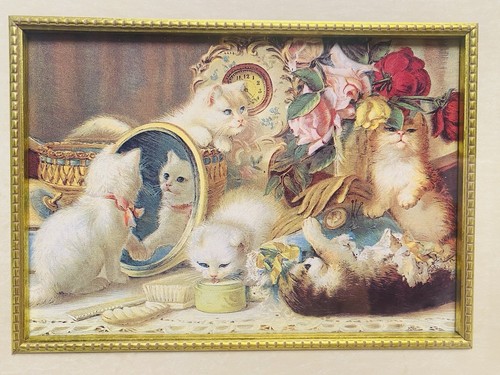 HC Plumb Five Cat Senses Kitten Print 13” X 15” Frame 4.5” X 5.5” - Picture 4 of 7