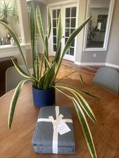 NWT- The Citizenry STONEWASHED ORGANIC COTTON PERCALE Sheet Set Queen MSRP $189