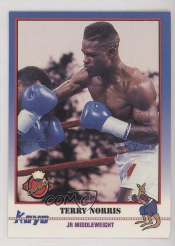 1991 Kayo The National Terry Norris #020