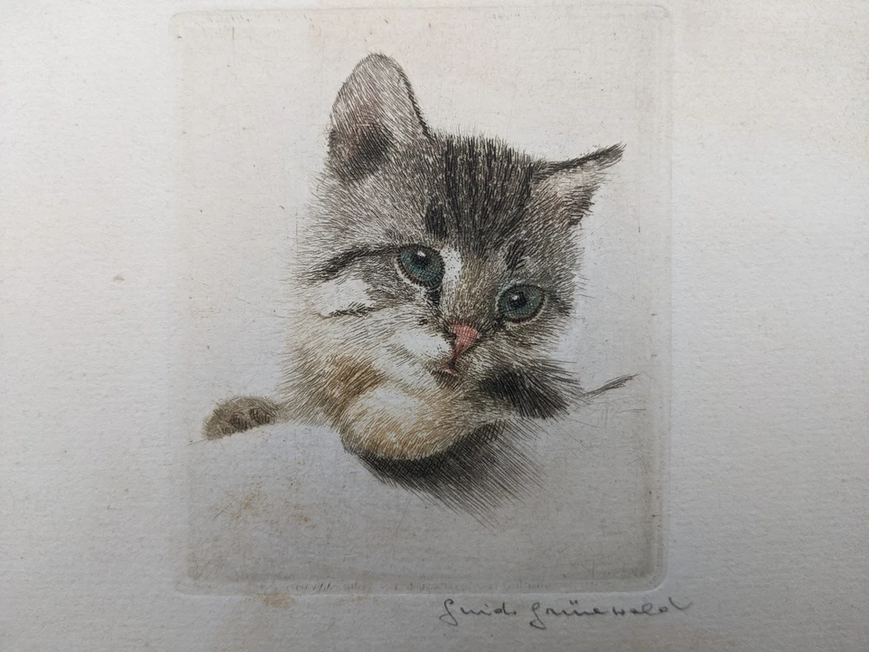 复古罕见 Guido Gruenwald 1881 - 1935 年“两只猫套装” - 雕刻 — 第 4/4 张图片