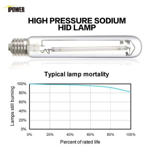 400W/600W/1000W HPS Grow Light Bulb Lamp for Plants Growth Pressure Sodium - Picture 10 of 30