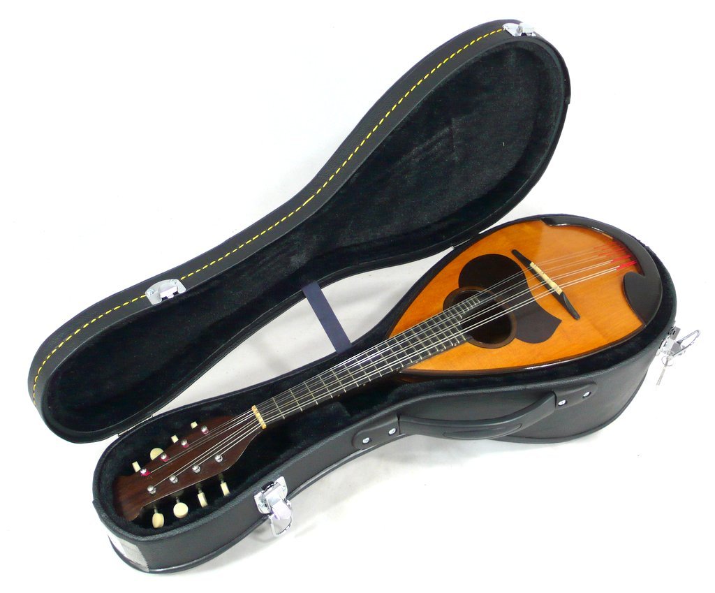 マンドリン　S.watanabe Tokyou Anno1995 Japan S. Watanabe,1961 Bowlback Solid Spruce Rosewood