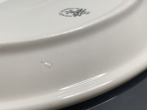 Plato ovalado Homer Laughlin Best China 11,5 pulgadas X 9 pulgadas - Imagen 12 de 18