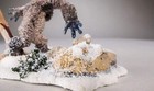 Picture 5 of 8