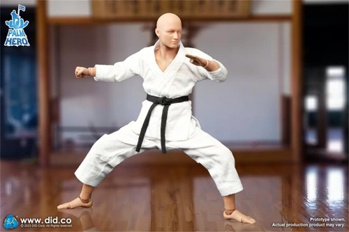 DID SF80001 1/12 Karate Player Action Figure 6inches Model Doll - Picture 10 of 12
