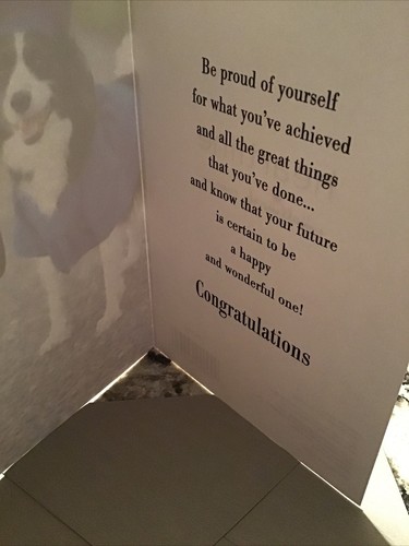 Graduation “ Congratulations “ Way To Go, Grad ! “ 5”x7” Hallmark Greeting Card - Picture 3 of 6