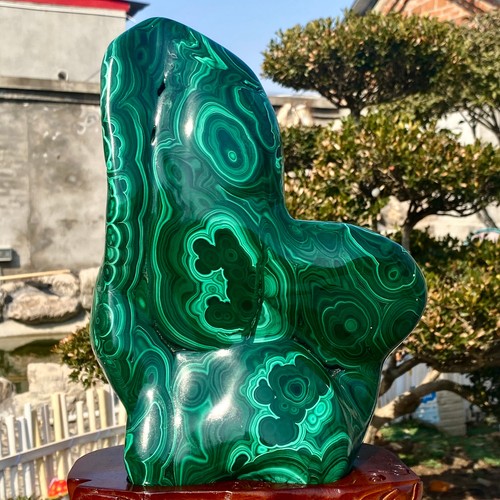 19LB Natural rare glossy Malachite cat's eye cluster rough mineral sample - 第 4/10 張圖片