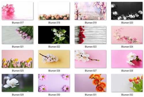 40 Adressetiketten Adressaufkleber, oder 10 Visitenkarten - Motiv "Blumen" - Bild 3 von 4