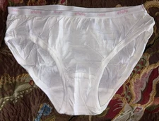 Hanes Girls 2013 White Size 10 Bikini  Panties Underwear 1 Pair Panty