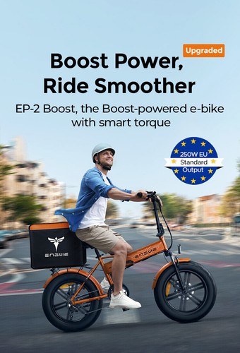 20 Zoll E Bike für Herren Elektrofahrrad Klapprad mit 48V 13AH Batterie und 250W - Bild 4 von 18