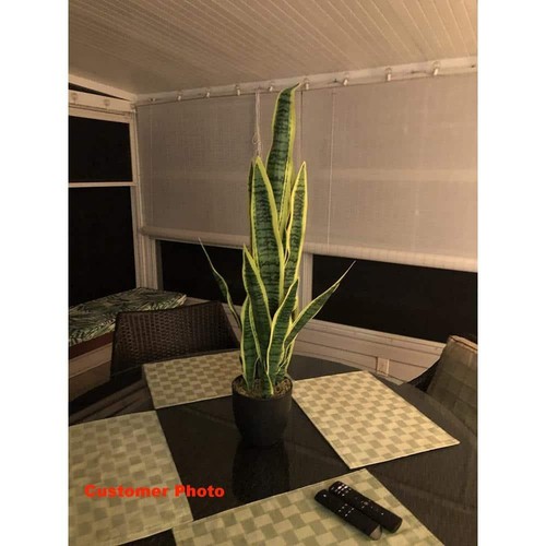 3 Fuß grün und gelb Indoor Outdoor dekorative künstliche Schlangenpflanze im Topf, - Bild 6 von 8