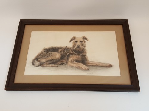 Vintage original pastel Irish Terrier painting sitting laying framed beautiful! - Picture 6 of 12