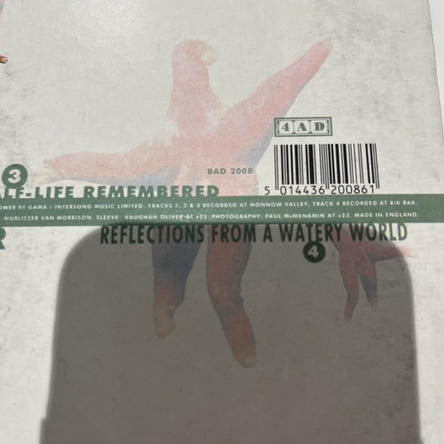 Pale Saints Throwing Back The Apple  4 Track 12” Single BAD2008 Rare - Bild 3 von 6