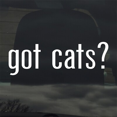 Got Cats? Custom Vinyl Sticker Decal Kitty Kitten Pet Love Lady Meow
