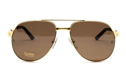 Santos Authentic New Sunglasses Cartier Old Dumont T8200746 Occhiali 100 Stock 5nBzxqRXIX
