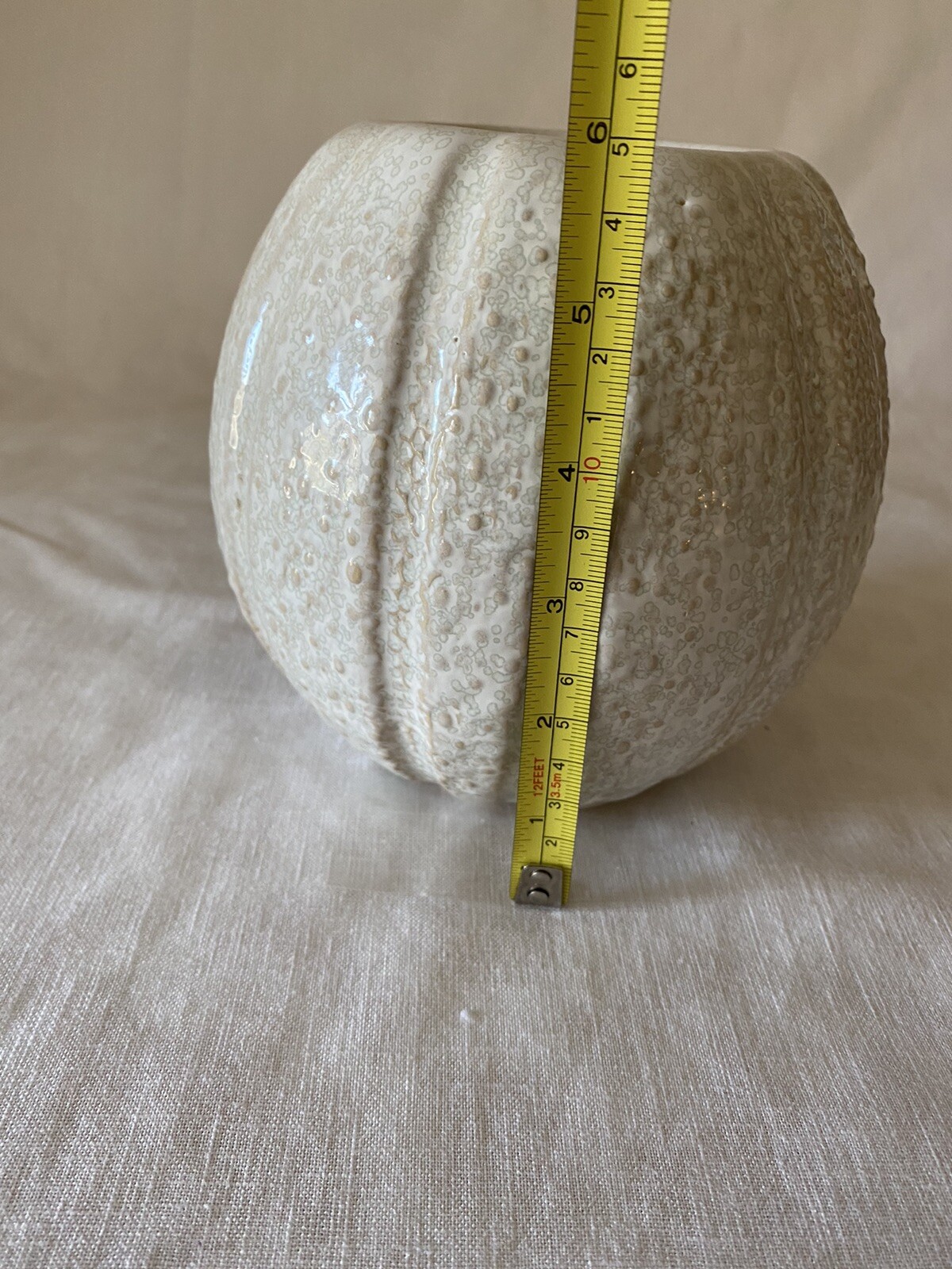 Picture 5 of 12
