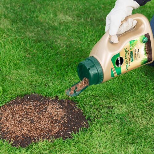 Miracle Gro Patch Magic Grass Seed Fast Growing Garden Lawn Repair With Feed 1KG - Picture 4 of 6