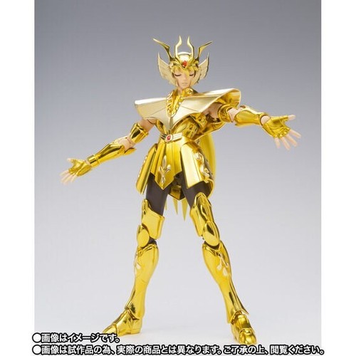 Saint Cloth Myth EX Virgo Shaka Acquario Camus (Surplice) 2set 20° Revival - Foto 16 di 24
