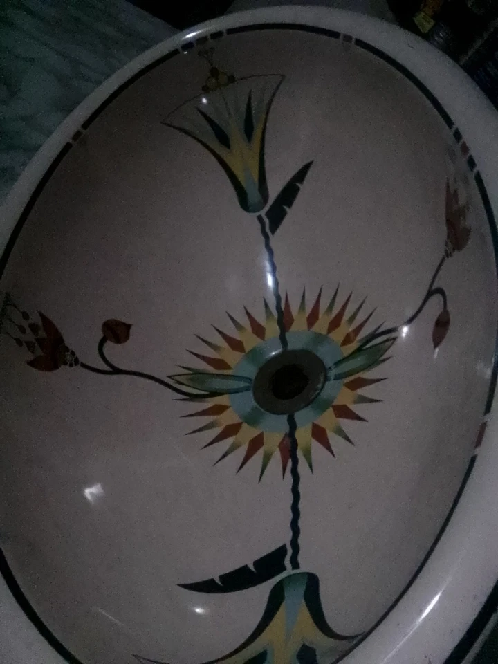 ¡¡Increíble!! Fregadero floral artístico pintado a mano serie edición artista Kohler Foto 3 de 3