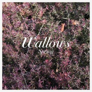 Wallows-Spring-Vinyl-Used-Very-Good-Explicit-Version