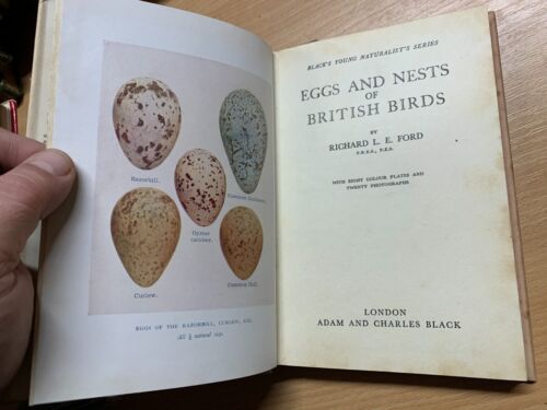 Libro de tapa dura Richard L E Ford 1951 "Huevos y nidos de aves británicas" (P3) - Imagen 5 de 18
