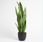 Snake Plant For Home Or Office 65cm With Black Pot Faux Healthy Indoor UK