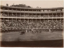 Photo Tirage Albuminé Arène Toreo Tauromachie Matador Vers 1880