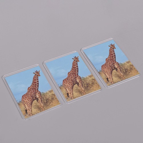 20 Stck. PVC Langlebig Klar Sammelkarten Hüllen Display Halter Schutzfolien 35-180PT - Bild 10 von 16