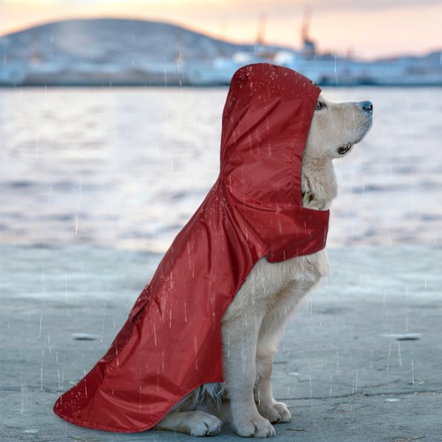 Impermeable Reflectante para Mascotas Impermeable Perro Impermeable con Capucha Impermeable - Imagen 3 de 10