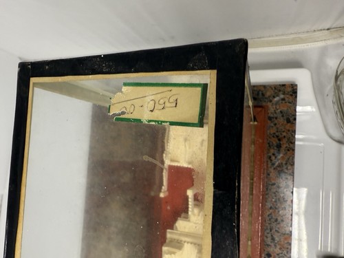 Brihadishvara Temple Tamil Nadu Hindu Balsawood under glass replica vintage 13x5 - Picture 15 of 20