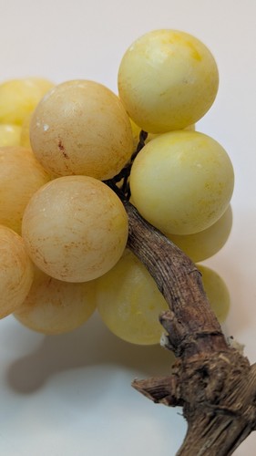 Grappolo uva frutta pietra alabastro italiana vintage MCM dipinto a mano con gambo - Foto 16 di 18