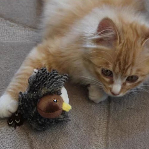 Cat Toys for Indoor Cats Interactive Cat Toy with Real Chirping Bird Toy DX - Picture 3 of 13