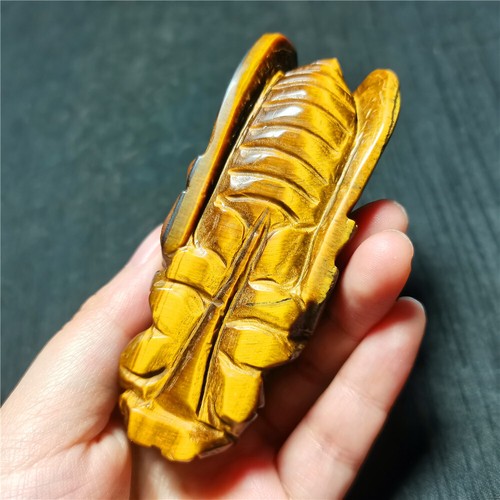 TOP 113G Decoraciones Cicada de Belleza Cristal Ojo de Tigre Natural Talladas a Mano YY670 - Imagen 7 de 12