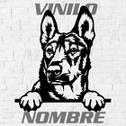 Imagen 1 de 2
