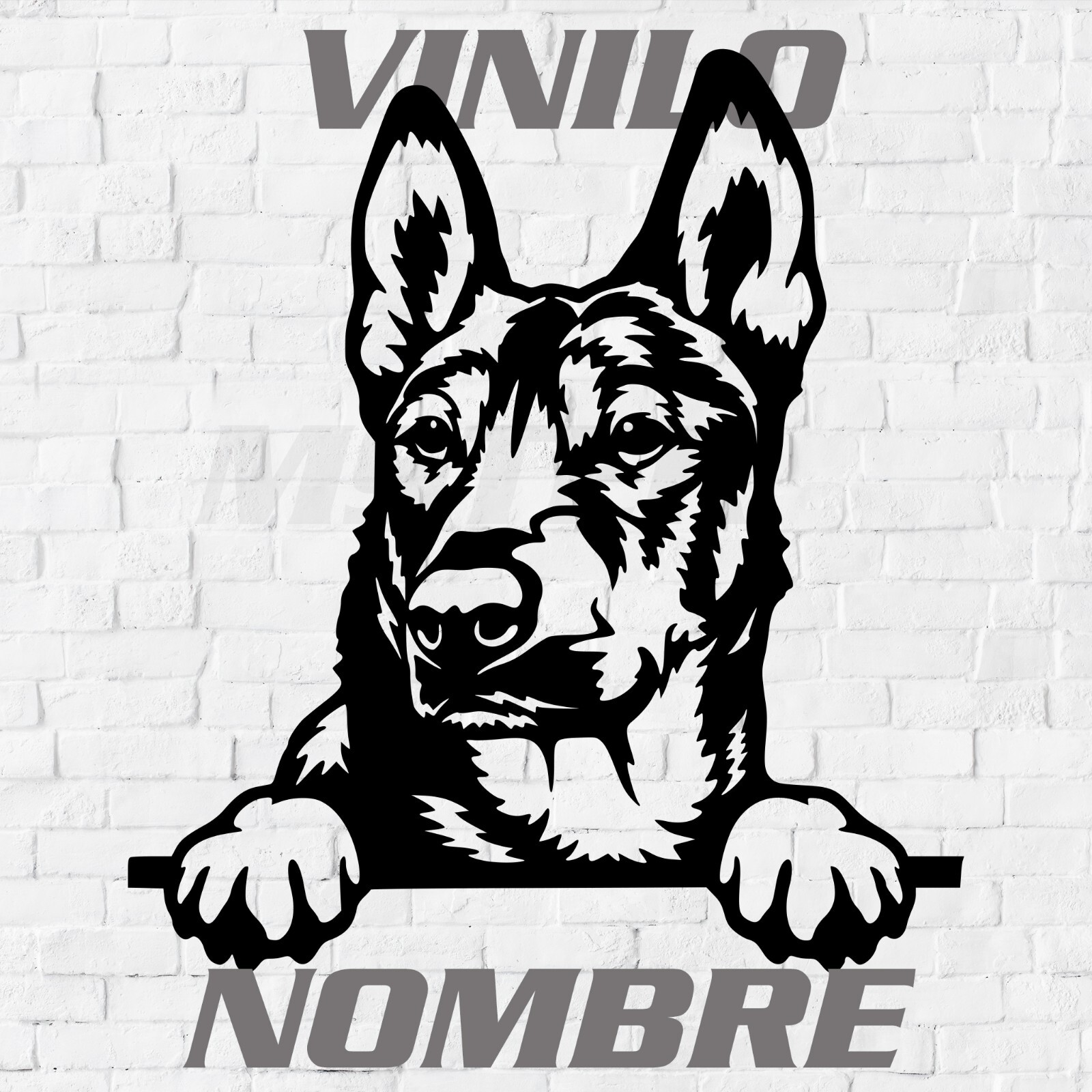 Imagen 1 de 2