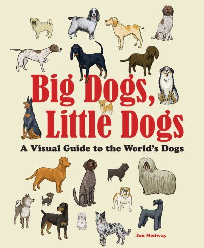 Big Dogs, Little Dogs: A Visual Guide to the World's Dogs (Big and Little), Medw - Picture 1 of 1