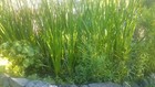 Bild 5 von 6