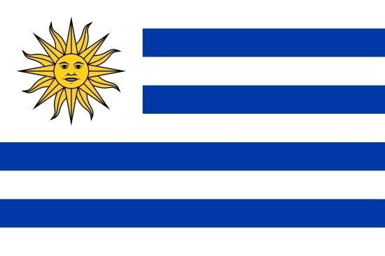Imagen 1 de 1