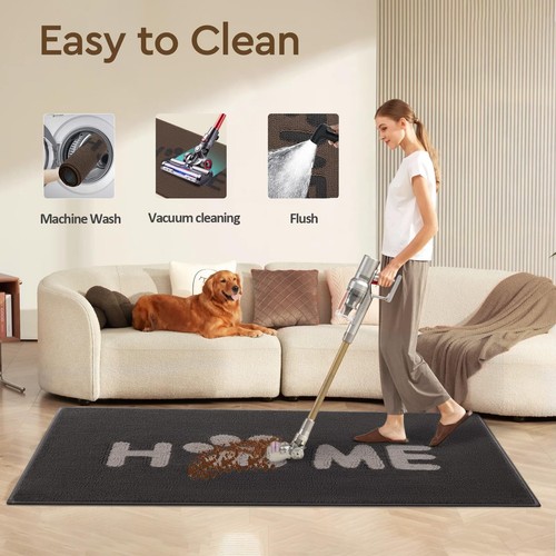 Door Mat Indoor Welcome Front Door Mats Non Slip Entrance Mat Absorbent Resis... - Picture 6 of 8