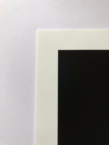 Dan May Nest 2011 Giclee Print LE COA - Picture 4 of 5