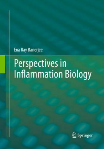 Thumbnail - Perspectives In Inflammation Biology 3425