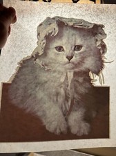 1970s Original Vintage Cat Kitty Iron On Transfer