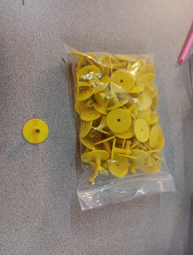 Yellow Blank Animal Round Ear Tag- Hog Tag - Picture 3 of 4